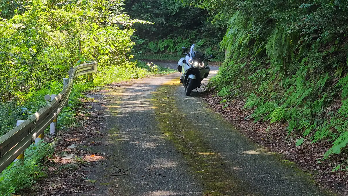 Aso’s caldera, the Chikushi mountains, and a final bike drop-off back at Fukuoka Airport.
