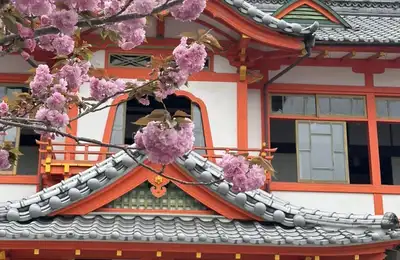 ~230 km — Yūtoku Inari Shrine, the coastal Unzen Tara Sea Line, the Shimabara Peninsula, and Shirahama Beach.