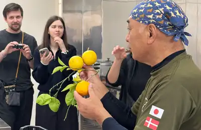 Hands-on fruit vinegar-making, citrus-picking at a local orchard, and dinner in Kumamoto.