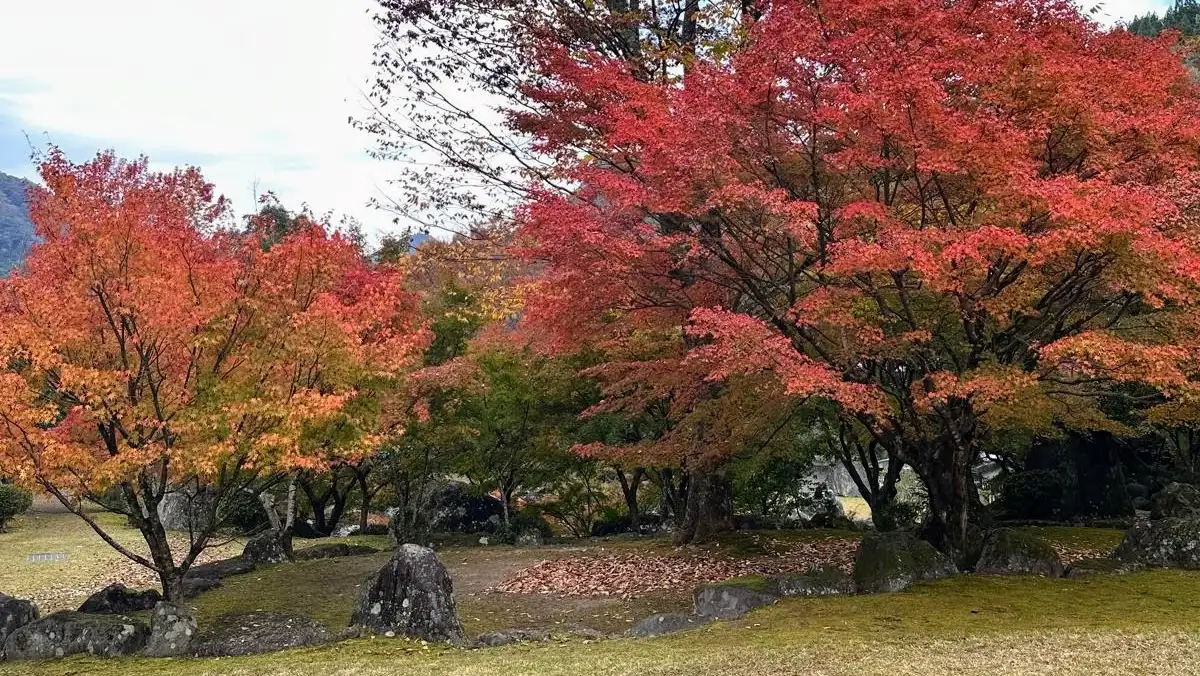 Kyushu's autumn colours