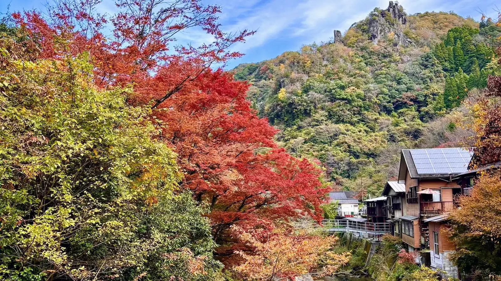 Late autumn colours