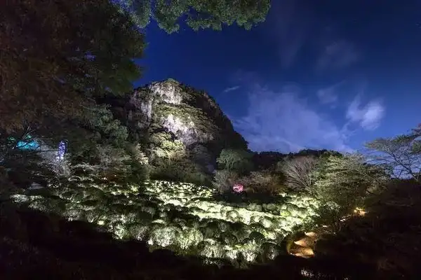 Forest where Gods live. Photo thanks to Team Lab.