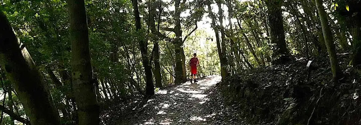 Me enjoying a hike around a local forest