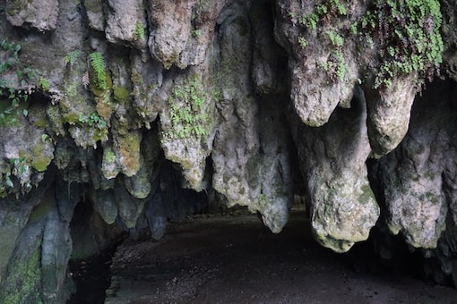 senbutsu-cave-Shonyudo-kitakyushu stalactites