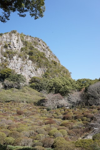 Mifuneyama Rakuen february