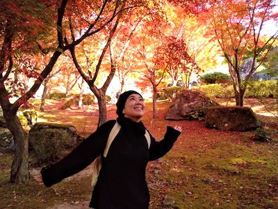 Kyushu Autumn Leaves