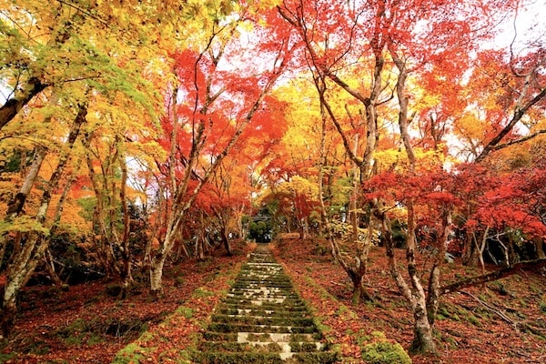 Japan autumn tour