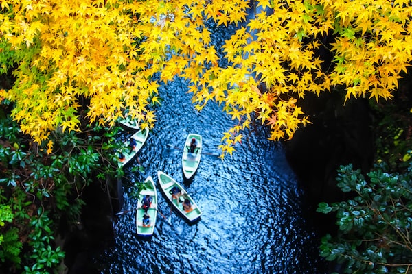 autumn fall in japan