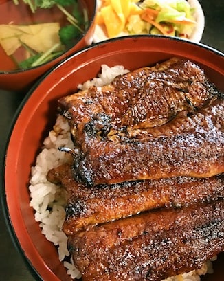 Eel unagi