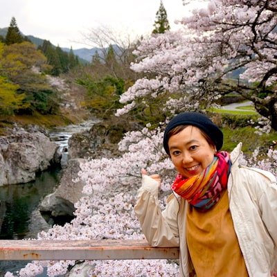 Sakura nature view