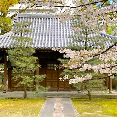 Sakura Japanese temple