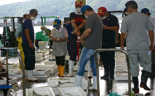 fish-market-saiki-oita